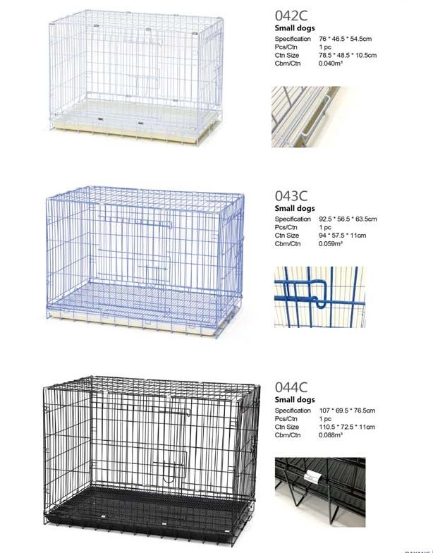 Cats & Dogs Chennai Pets Corner