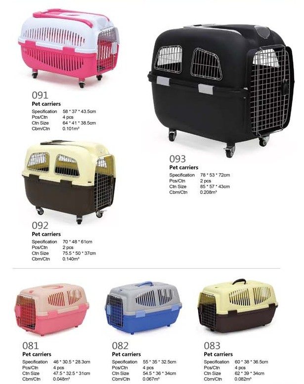 Cats & Dogs Chennai Pets Corner