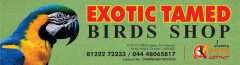 Chennai Pets Corner
