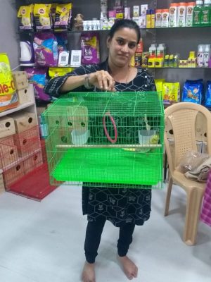 2cb575db-c4ce-4305-b455-96f584309e70