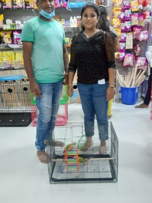 99e8d2f9-ba75-4b39-84f6-ee0be216dcce