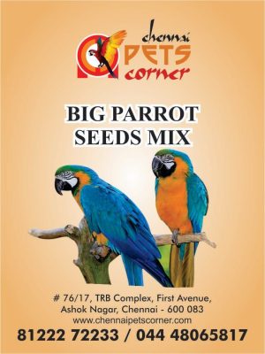 WhatsApp Image 2023-10-07 at 5.50.18 PM (1)